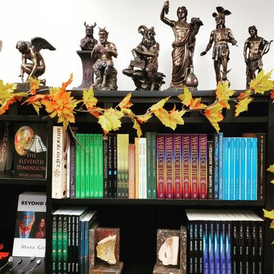 The Dragon and The Rose by null