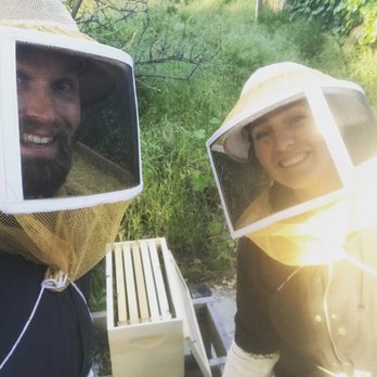 Swarm And Tender - New Swarm in a Tender new home! - Honey Near Me Swarm And Tender - New Swarm in a Tender new home! - Honey Near Me