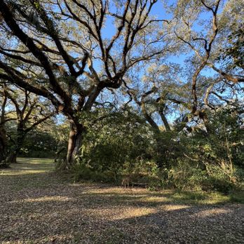 Tree Tops Park - Parks Near Me - Davie, Florida