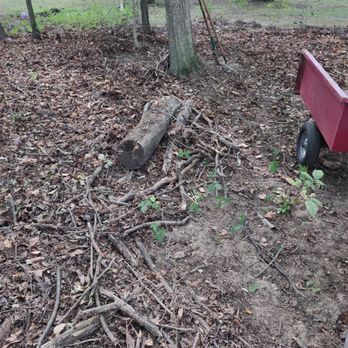 K&A Tree Service - Tree Services Near Me - Mansfield, Ohio K&A Tree Service - Tree Services Near Me - Mansfield, Ohio