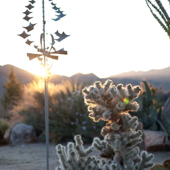 The Desert Lily - Bed & Breakfast Near Me - Joshua Tree, California The Desert Lily - Bed & Breakfast Near Me - Joshua Tree, California