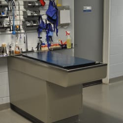Oceanside Veterinary Hospital - Pet Treatment Area
