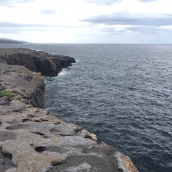 Shamrocker - The Baby Cliffs