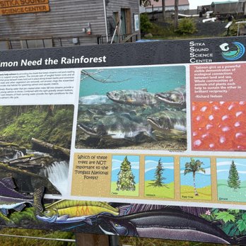 Sitka Sound Science Center - Aquariums Near Me - Sitka, Alaska Sitka Sound Science Center - Aquariums Near Me - Sitka, Alaska