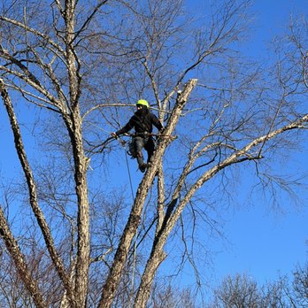 Mikes Tree Service - Owner - Tree Services Near Me Mikes Tree Service - Owner - Tree Services Near Me