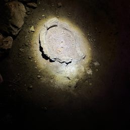 Remnants of prehistoric fire pit