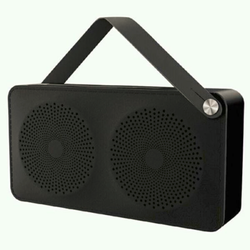 Honolulu Electronics - I'm looking for that kind a speaker