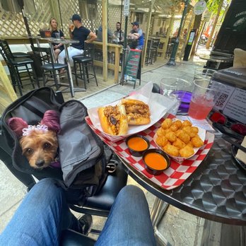 Cavanaugh's Rittenhouse - Chicken cheesesteak, tater tots and a tasty cider. Oh, and Macy Jane who will some some of it all! Life is good - Sports Bars Near Me - Philadelphia, Pennsylvania Cavanaugh's Rittenhouse - Chicken cheesesteak, tater tots and a tasty cider. Oh, and Macy Jane who will some some of it all! Life is good - Sports Bars Near Me - Philadelphia, Pennsylvania