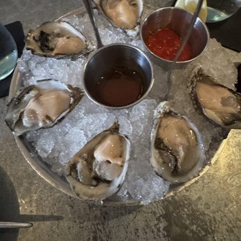 The Grove - Shigoku Oysters - New American Near Me - Delray Beach, Florida The Grove - Shigoku Oysters - New American Near Me - Delray Beach, Florida