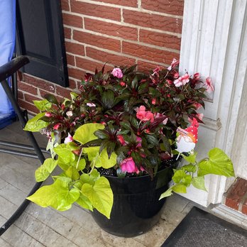 Green Crown Maintenance - Lawn Services Near Me - Westminster, Maryland Green Crown Maintenance - Lawn Services Near Me - Westminster, Maryland