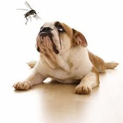 Animal Clinic at Upper Sandusky