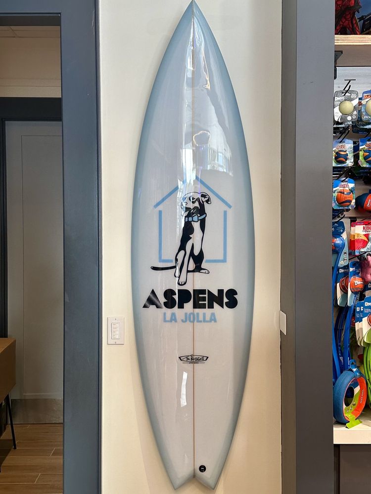 ASPEN’S DOG HOUSE 8867 Villa La Jolla Dr, San Diego, California Pet