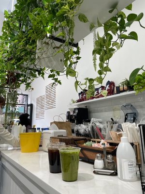 Semicolon Cafe by null