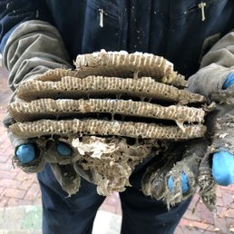 It was a 5 layer hive (the top layer broke off).
