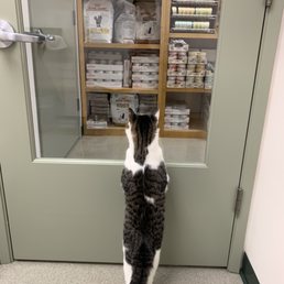 Luca waiting (not so patiently) for Dr. Gina.