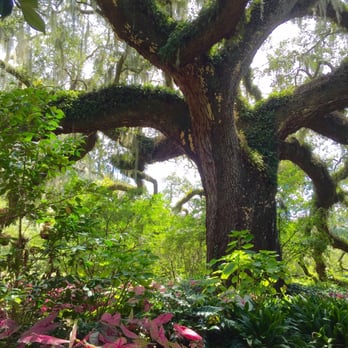 Brookgreen Gardens - Museums Near Me - Murrells Inlet, South Carolina Brookgreen Gardens - Museums Near Me - Murrells Inlet, South Carolina