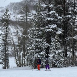 Ski lessons