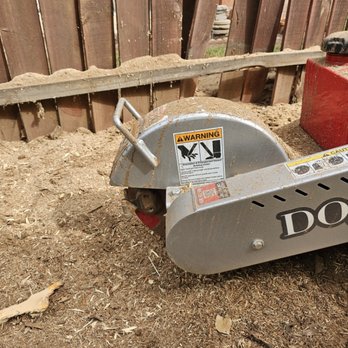 Cali Tree Service - Stump grind out - Tree Services Near Me Cali Tree Service - Stump grind out - Tree Services Near Me