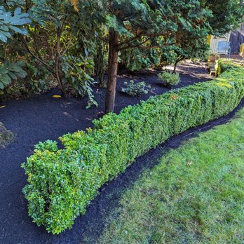 Lawn Esthetic - Lawn Services Near Me - Tacoma, Washington Lawn Esthetic - Lawn Services Near Me - Tacoma, Washington