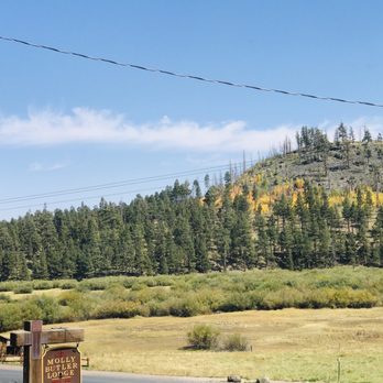 Molly Butler’s - View from the indoor table - Steakhouses Near Me - Greer, Arizona