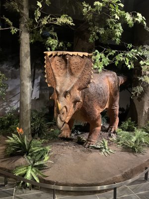 Canadian Museum of Nature / Musée canadien de la nature by null