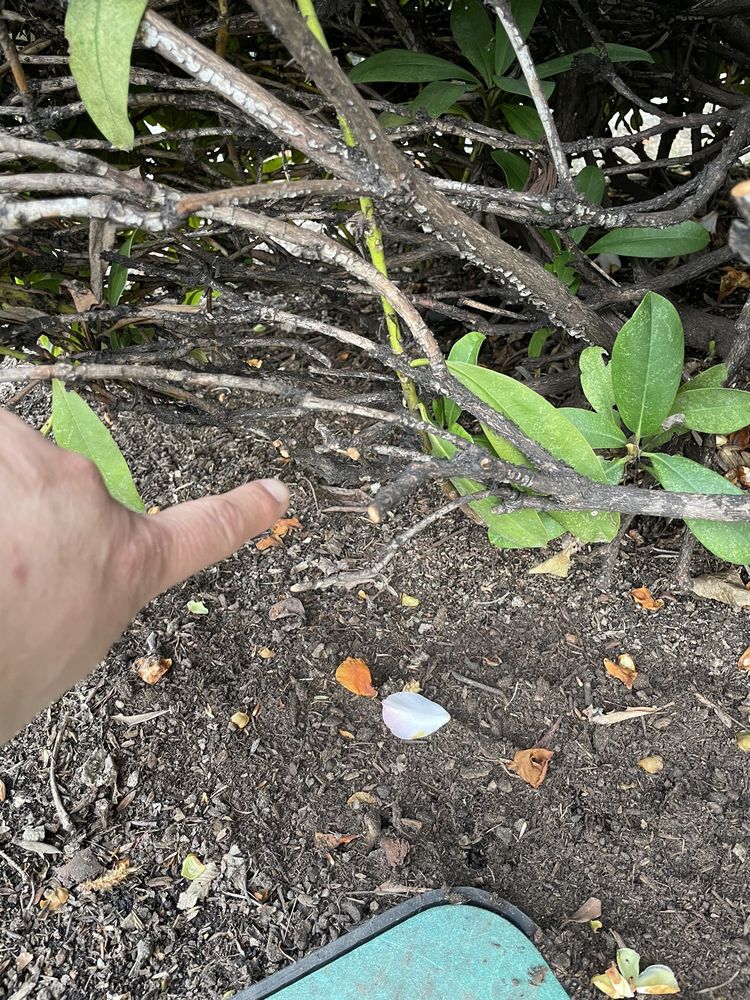 Slide of Northwest Backflow Inspection and Testing Services