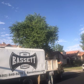Bassett Tree Service - Tree Services Near Me - Mesa, Arizona Bassett Tree Service - Tree Services Near Me - Mesa, Arizona