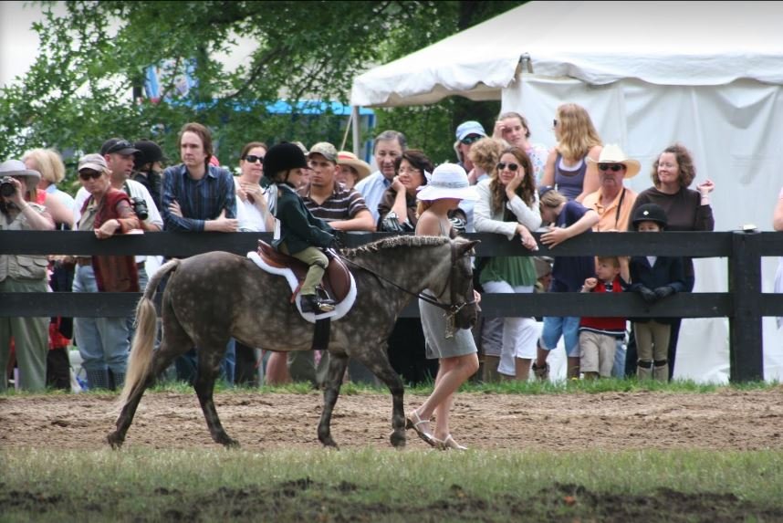 RED FOX CREEK FARM - Updated December 2024 - 11 Photos - 17023 Hamilton