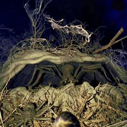 Harry Potter - A Forbidden Forest Experience