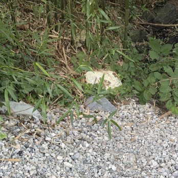 AP Paving & Masonry - More bags of cement and rock left behind - Masonry/Concrete Near Me - Wayne, Pennsylvania