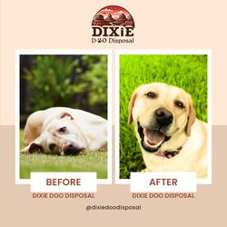 Dixie Doo Disposal - Don't let your dog be a sad boy! Give them the luxury of a clean yard today!