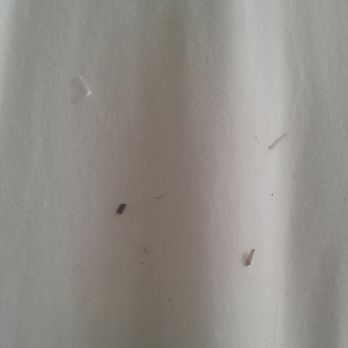 Stewart Lodge - dirt, hair and an animal toe nail on the sheet when I pulled back bedding - Hotels Near Me - Cle Elum, Washington Stewart Lodge - dirt, hair and an animal toe nail on the sheet when I pulled back bedding - Hotels Near Me - Cle Elum, Washington