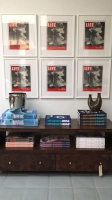 Mountain Dandy by null