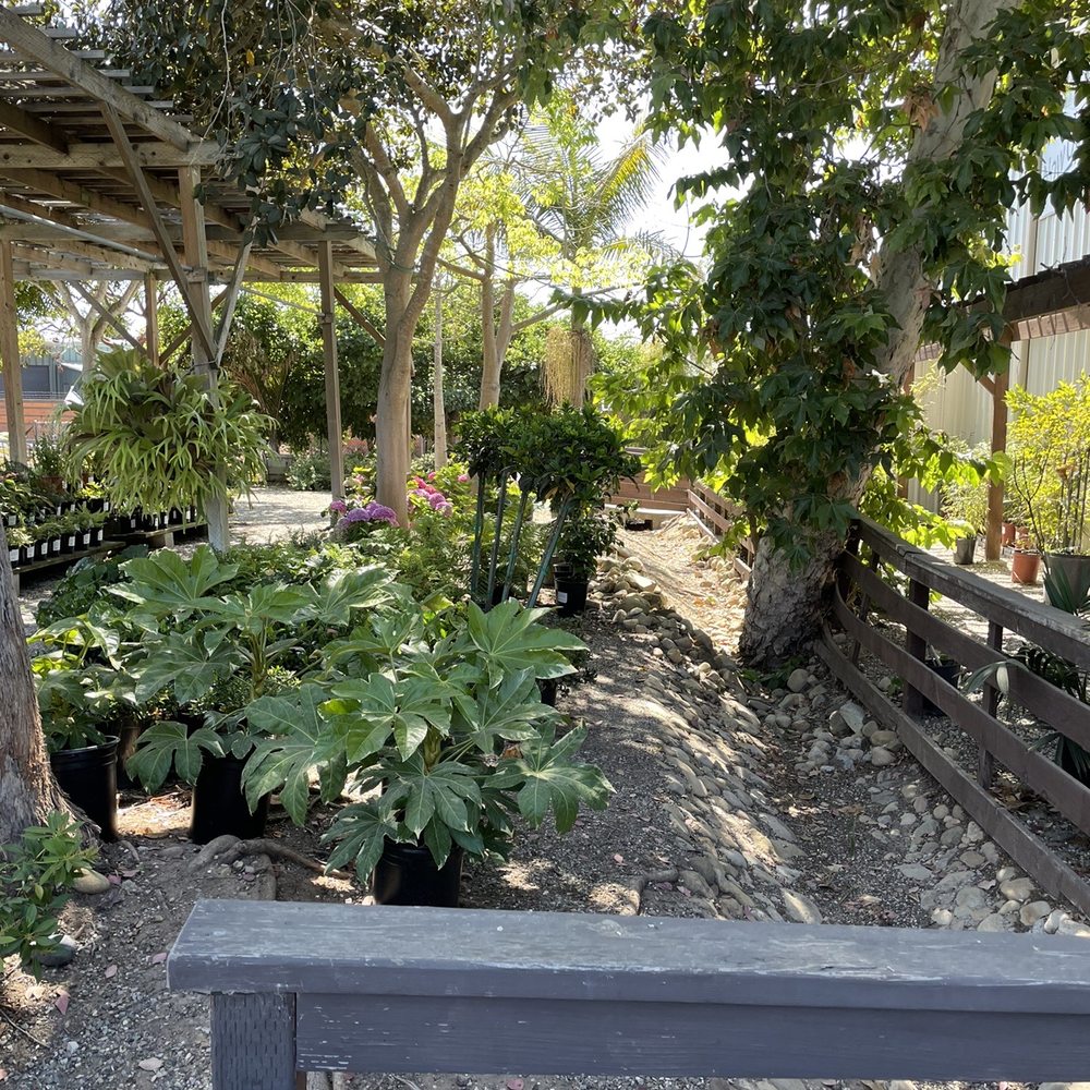 Seaside Gardens - Nurseries & Gardening Near Me - Carpinteria, California