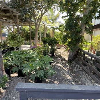 Seaside Gardens - Nurseries & Gardening Near Me - Carpinteria, California
