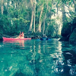 Three Sisters Spring. Captain Fred taught us that Jacques Cousteau rehabilitated "Sewer Sam" (manatee trapped in a Miami sewer system) here.