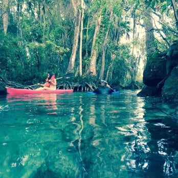 Florida Manatee Adventures - Three Sisters Spring. Captain Fred taught us that Jacques Cousteau rehabilitated "Sewer Sam" (manatee trapped in a Miami sewer system) here. - Tours Near Me - Crystal River, Florida