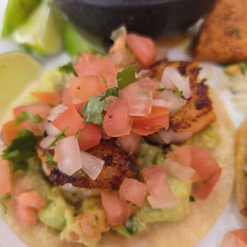 Taqueria Blue Tortilla Restaurant  - Mexican Near Me - Gilbert, Arizona