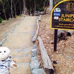 Juniper Staircase