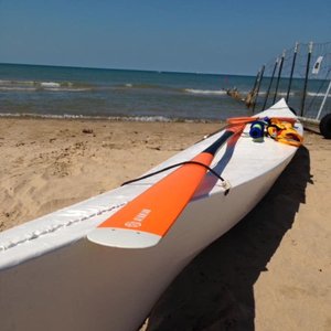 MONTROSE BEACH - 265 Photos & 117 Reviews - Beaches - 200 W Montrose