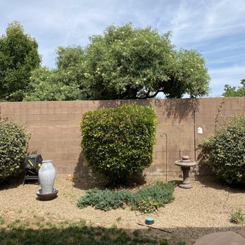 Monkey's Tree Services - There were two vines and a bush in this photo and the tree from my neighbor's yard was trimmed. Everything looks so much better. - Tree Services Near Me - Albuquerque, New Mexico
