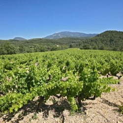 Auberge les Olivades