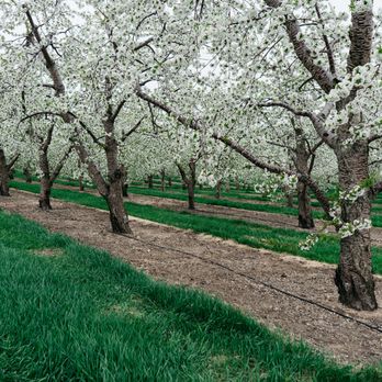Jim's Custom Weed Control - Landscaping Near Me Jim's Custom Weed Control - Landscaping Near Me