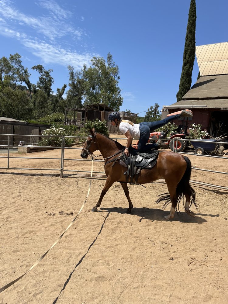 Del Dios Training Stables Logo