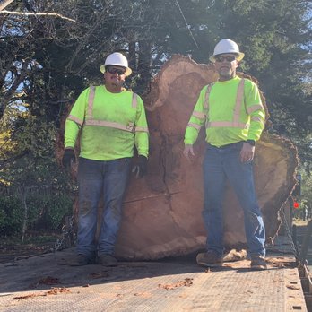 Johnson's Quality Tree Care - Tree Services Near Me - Ukiah, California Johnson's Quality Tree Care - Tree Services Near Me - Ukiah, California