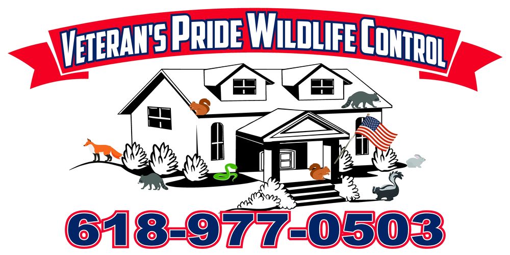 Veteran's Pride Wildlife Control - veterans service organization in Overland, MO