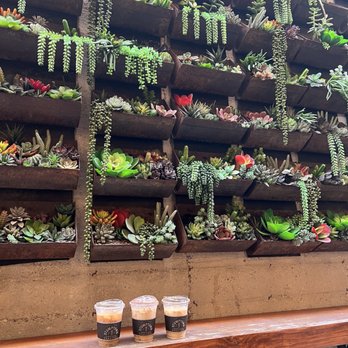 Local Fixture Coffee Bar - Coffee & Tea Near Me - Whittier, California
