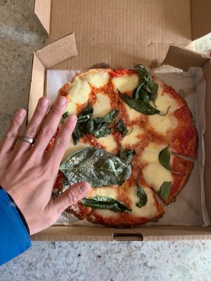 Wiseguy Pizza by null