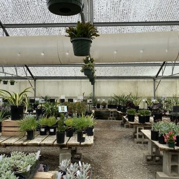 Half Moon Bay Nursery - 482 Photos & 221 Reviews - Nurseries