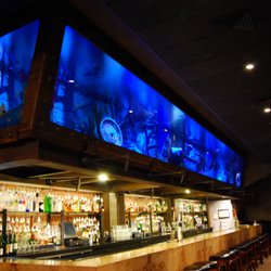 Neptune Aquarium Design